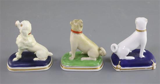 Three Chamberlains Worcester porcelain figures comprising two pugs and a poodle, c.1820-40, H. 6.7cm - 7cm